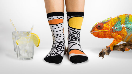 Marque montante dans l’univers de la mode, Le Caméléon Français confectionne des chaussettes engagées au style inimitable